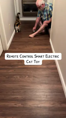 Who do you think had the most fun with the girls’ new remote control electric cat toy car?? My money is definitely on Boyd or Mousey 🤣 #lifewithboyd #dadsoftiktok #catdad #catsoftiktok #kitten #kittensoftiktok #meow #cattoy #interactive #remotecontrol #car #remotecontrolcar #tiktokshop #tiktokmademebuyit #blackfriday #cybermonday #deals 