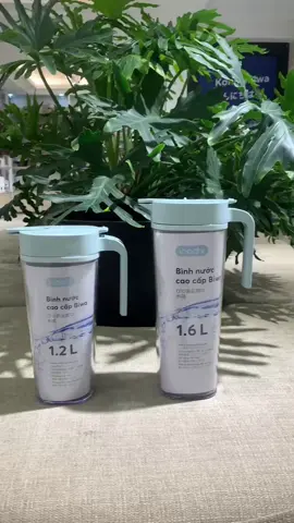 bình nước để bàn biwa #binhnuoc #binhnuocvanphong #binhdungnuoc #biwa #inochi 