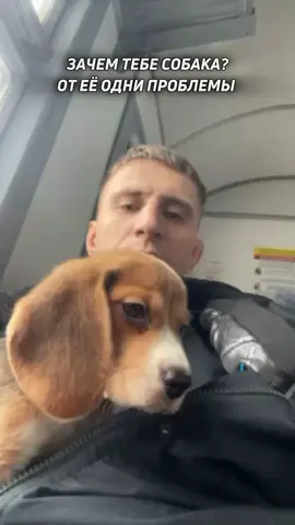 Это от вас одни проблемы 😉Меня поймут только собачники ☺️