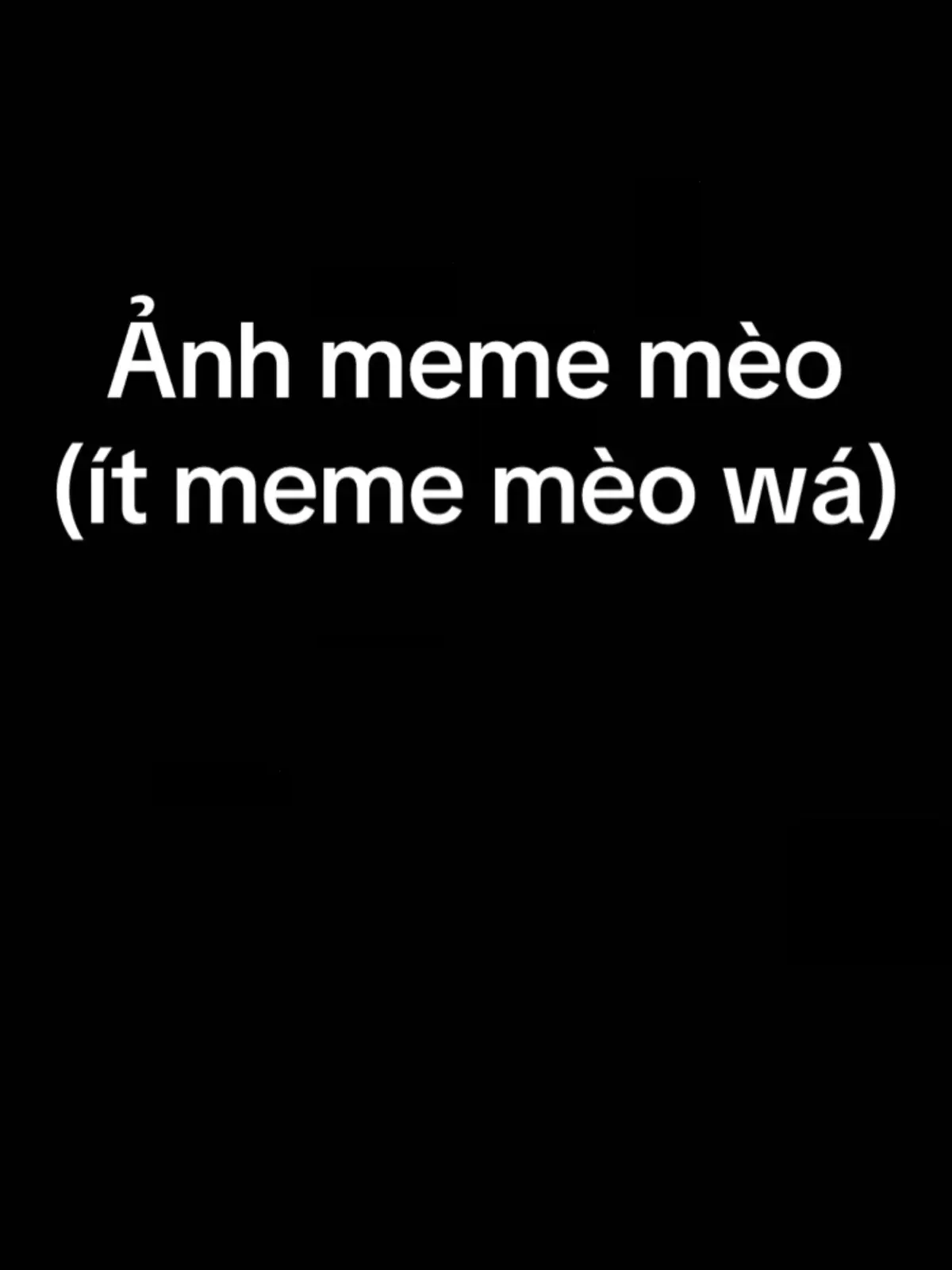Hết meme mèo òi:)#meo #meomeo #meoskibidi 