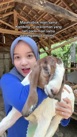 Soalnya ga punya pacar 😭  #heyhest #heyhestcantik #fyp #peternakkambing 