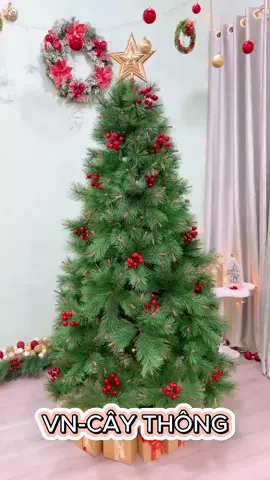 Cây thông noel cước đầu vàng gắn trái đỏ tặng kèm ngôi sao đế giấy và dây kim tuyến trang trí giáng sinh #noel2024 #giangsinh #caythonggiangsinh #caythong #caythongnoel #giangsinh2024 #merrychristmas #caythongnoelphutuyet #noel