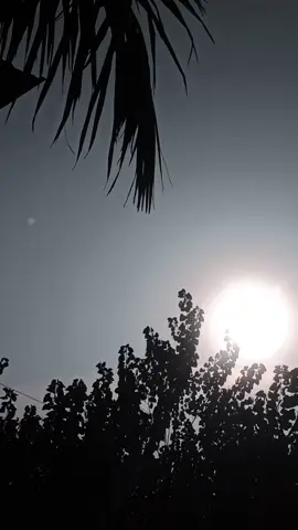 #songlyrics ❤️‍🩹❤️‍🩹