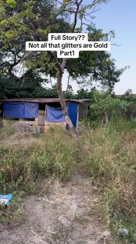 Not all that glitters are Gold Part1