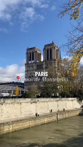 Si vous chercher un endroit ou se balader dans Paris  📍Quai de Montebello, 75005 Il se situe juste en face de l’Ile de la Cité et vous pouvez vous promenez le long des quais de seine et adminer la vue !  #paris #bonplan #notredame #laseine #parisian #views 