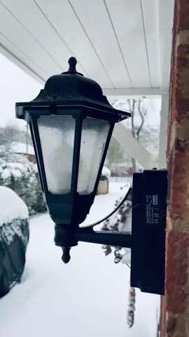 #snowfall #2024 #fyp 