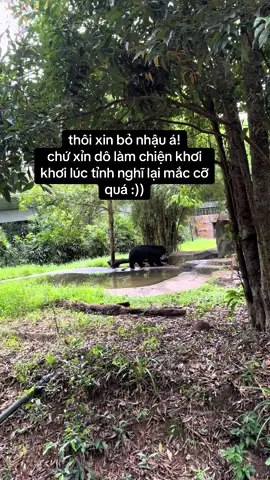 hổng có nhớ hổnv có biết #xuhuong #xh #fpy #VinWondersPhuQuoc, #Vcreator, #SafariPhuQuoc, #GrandWorldPhuQuoc, #WakeupFestival