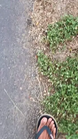 ayayaya🗿 #scoopymodifikasi #fyp 