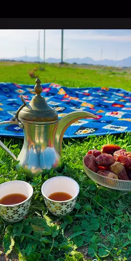 #ربيع#حايل #الشمال#بر#كشته#شيلات#شفي روضن#قهوه #ادلال# روضه #خضرى#عشب#تبوك 