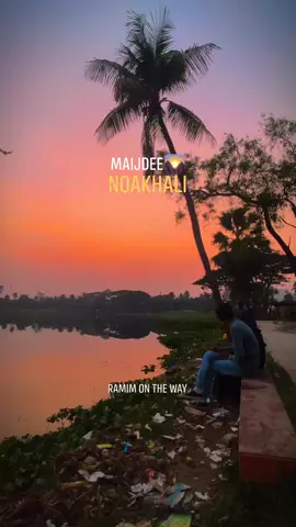 পাখিদের কিচিরমিচিরে, গোধুলির সোনালী আলোতে, প্রকৃতি শীতের আগমন জানান দিচ্ছে।  Location: Maijdee park, Noakhali  #video #winter #evening #Noakhali #DCOffice