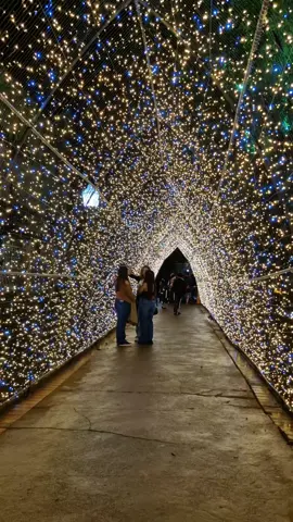 #natal2024 #PoçosdeCaldas Imagens: Rita Esprovieri