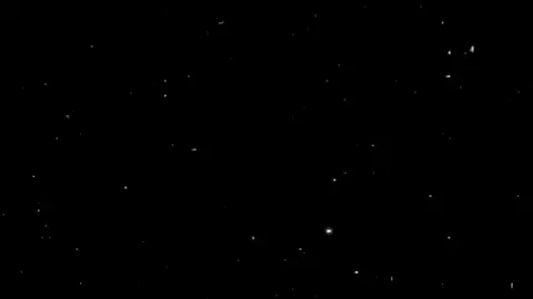 مجنون انا بحب قائدي  #المهيب_الركن #صدام_حسين #f #العراق #بغداد #صدام_حسين_المجيد #fyp #tiktok #foryou #صدام_حسين_المجيد_رئيس_جمهورية_العراق #foryoupage #العراق_السعوديه_الاردن_الخليج 