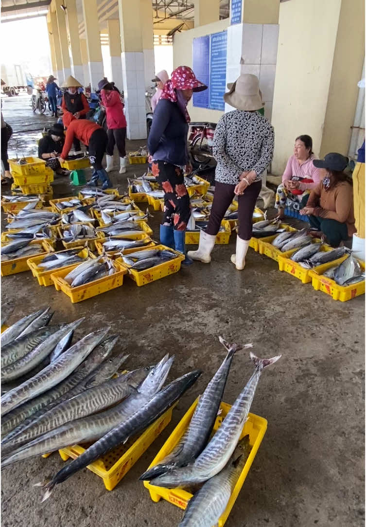 Muốn biết cá sạch, cá tươi hay bơi vào đây, xem hết video nhé#haisantuoisong #haisantuoi #xuhuongtiktok #tren #ăncungtiktok #cabien 