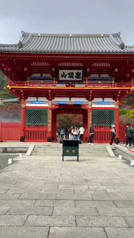 Katsuō-ji là một ngôi chùa Phật giáo ở thành phố Minō, phía bắc Osaka, Nhật Bản. Theo một tập tài liệu tiếng Anh được phát tại chùa, địa điểm này lần đầu tiên bị chiếm đóng vào cuối thời Nara bởi hai thầy tu Zenchū và Zensan. Ngôi đền Miroku-ji được xây dựng vào năm 765 CN.#CapCut #katsuoji #xuhuong2024 