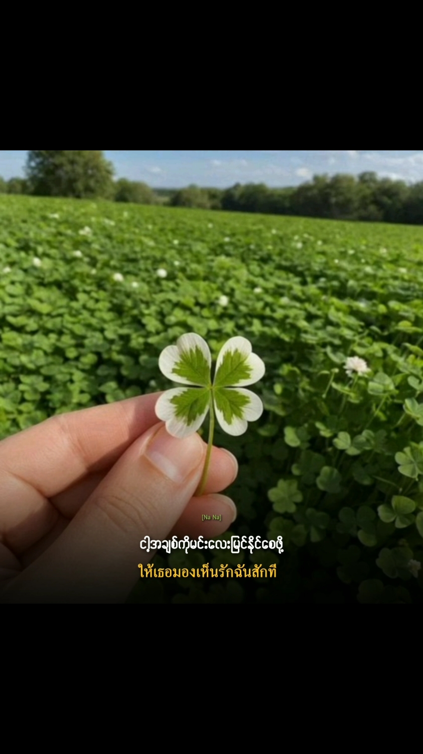 [MMSUB] คนที่เธอรักกับคนที่รักเธอ(The One U Love) : C-Quint  My Childhood favorite song  #คนที่เธอรักกับคนที่รักเธอ #myanmarsubtitle #เพลงเพราะ #เพลงไทย #ThaiSong #เพลงฮิต #เพลงฮิตtiktok 