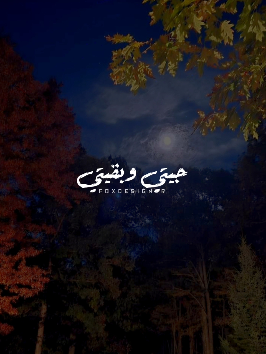 انتي الحته الحلوه في قلبي ❤️  #ستوريات #اغاني_رومانسية #احمد_سعد #تصميمي #foryoupage #foryou #💗💗💗💗💗 