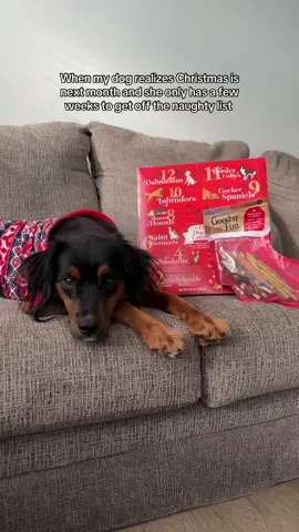 #sponsored No matter how bad she is, ahe will always be on the nice list! 🎄 This @goodnfunchews advent calendar is the perfect way to begin celebrating the holiday season! #GoodnFunHolidayCheer Make sure to spoil your pup this holiday season 🎁 #naughtyornicelist 