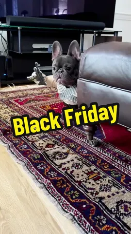 When that price drops 💜 #LazyFrenchieDaisy #frenchbulldog #dogs #frenchie #blackfriday 