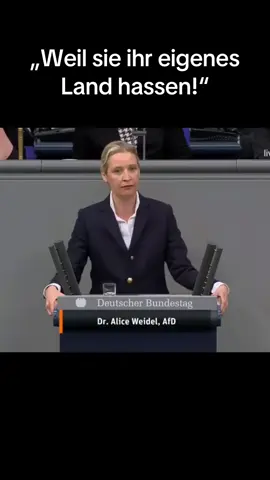 Klartext #fyp #viral #aliceweidel #weidel #afd #bundestag #bundesregierung 