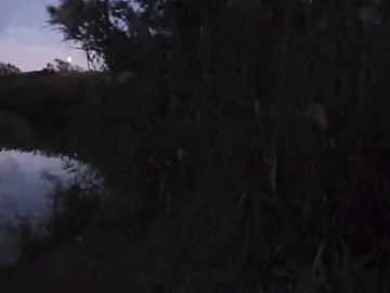 я буду на дне #fypシ゚viral 