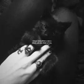 #fyp #blackcats #catlover 