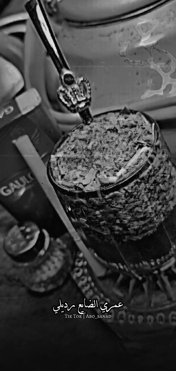 ضـمـك لآ صـدري ضـمـه🧉🦋 … #ستوريات #متة #حوراني #عتابا #حسين_حوراني #سهرات #عود #foryou #fyp 