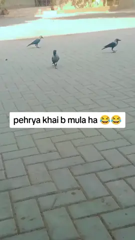 #CapCut #foryou #onthisday 