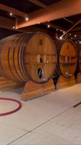 Cellar work after harvest! 🍇😃 @champagnecollardpicard #wineinspires #champagne #cellar #champagnelover #champagnemoment #collardpicard #aftetharvest #hardwor #champagnemaking #barrels #cheers #epernay #france