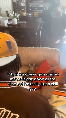 I really just be minding my business🥱🚶 #catsoftiktok #catmemes #pets #funny #relatable 