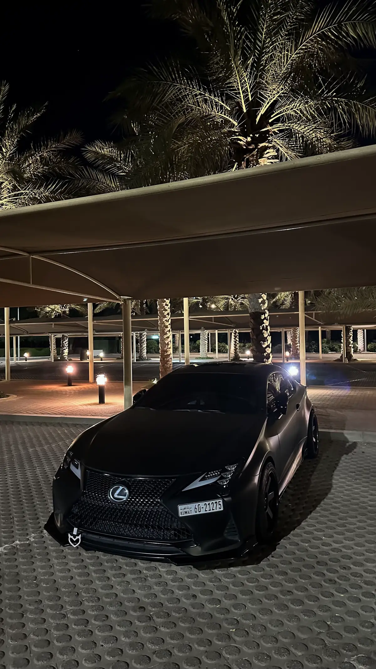 #fyp #foryou #اكسبلور #exp #explore 