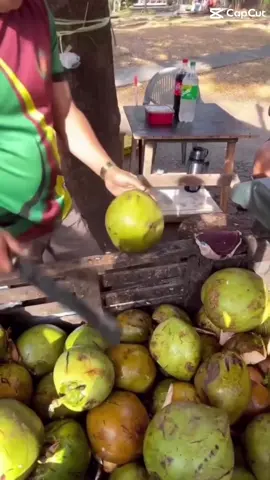 BEST SCHOOL IN THE BIG12 #goutes #utes #dive #diving #utah #utahdive #utahswimanddive #d1 #d1athlete #d1diving #d1athlete #athlete #big12 