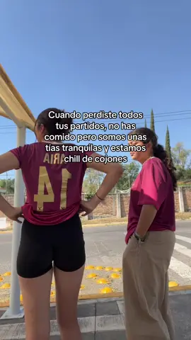 Volvimos chill de cojones #volleyball #fyp #fypシ #parati #humor #chill #meme #chilldecojones #viral
