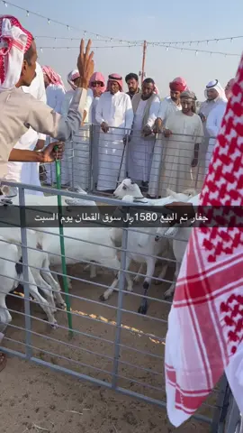 #اكسبلور 