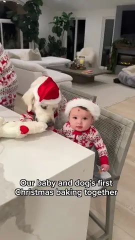 The dog will always be with the child #anime #friend #foryou #baby #dog 