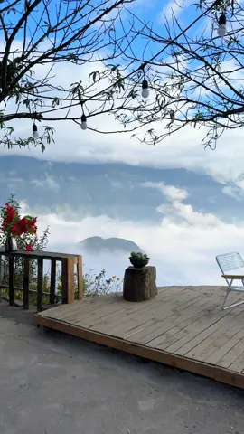 Tà Xùa đã vào mùa mây. Cùng người thương lên Tà Xùa thôi nào ☁️☁️ #taxua #xuhuong #vietnamtoiyeu 