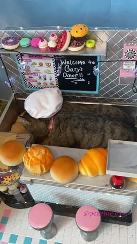 Working her hat off👩🏻‍🍳🍞💪##Chef##Chef##Baking##Bake##Bakery##Thanksgiving##Christmas2024##Biscuits##Cat##Cats