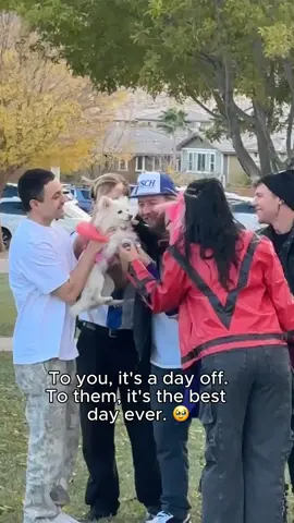 We don’t deserve dogs 🥺