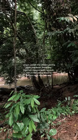 #LearnOnTikTok #qoutes #foryourpage #katakata #katakata #sadqoutes #fypviral #luahanhati #perasaan #lelaki #typpdongg #munculberanda #4upage #foryou #foryoupage #foryourpage #fyp #fyp #fypviral   #fyppppppppppppppp #xyzbca #beranda #masukberanda #masukberandafyp #story #storytime #sad #sadstory #sadvibes #sadsong #quotes #quotestory #gamon #galau #galaubrutal #galaustory #jawapride #katakata #CapCut 