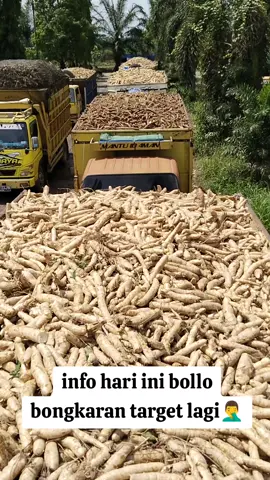 rodok anget bolo hawane#fypage #fyppppppppppppppppppppppp #fypdongggggggg #fypシ゚viral #sobatngaret #sobatngaritnusantara #sopirtrukpunyacerita 