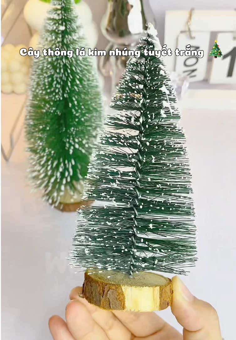 Cây thông noel 🎄 lá kim nhỏ xinh, nhìn phát thấy không khí giáng sinh liền ☃️❄️🎄 #caythong #caythongnoel #giangsinh #noel #decor #windyreview #CapCut 