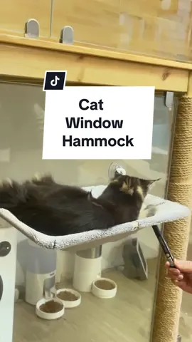 Elevate Your Cat’s Comfort with Our Window Hammock! 🐾✨ #cat #cats #pet #catoftiktok #PetsOfTikTok #hammock #cathammock #blackfriday #blackfridaydeals #tiktokshopblackfriday #tiktokshopcybermonday #fy 