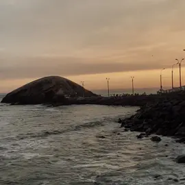 #lanadelrey #summertimesadness 