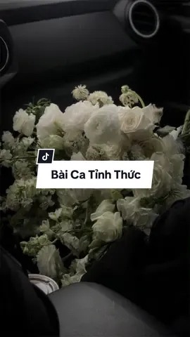 #CapCut Bài Ca Tỉnh Thức - Mẫu Công Giáo📍#capcutmaster #duyfaz #nhachaymoingay #xuhuong #viral #fyp #baicatinhthuc #maucongiao 