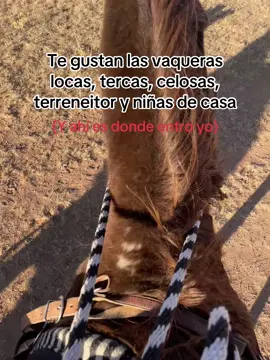 Te gustan de las buenas jajaja#vaquera #barrilera #Valeriaychocolata #caballos #lavidaderancho #yoamomicaballo❤️ 