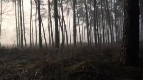 #اكتب_شي_توجر_عليه حساب بدون ذنوب 🤎