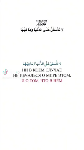 لا تأسفن علي الدنيا وما فيها.. #الدنيا #الحياة #الموت #الحق #الجنة #العمر #الاخرة #السعودية #العراق #مصر #مصر_السعوديه_العراق_فلسطين #المغرب🇲🇦تونس🇹🇳الجزائر🇩🇿 #العرب #المسلم #مسلم #المسلمين #muslim #islam 