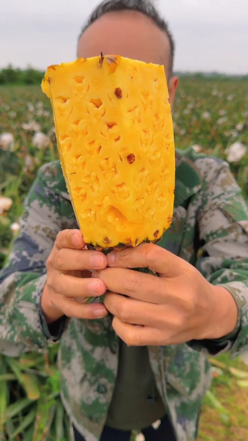 Sweet pineapple cutting skill #cutting #fruit #fresh #pineapple #satisfying 