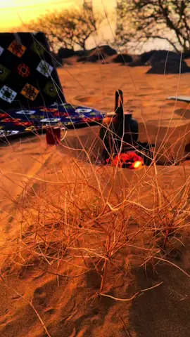 يارب حملت نفسي بالشقى والعتاب #نفسك_ثم_نفسك #الشقى💔 #ياربي_لاتحرمنا_سترك_وعفوك #كسبلور_explor 