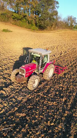 Le 3060 au cultivateur #agriculture #masseyferguson #preparation #ble #drone #2024 