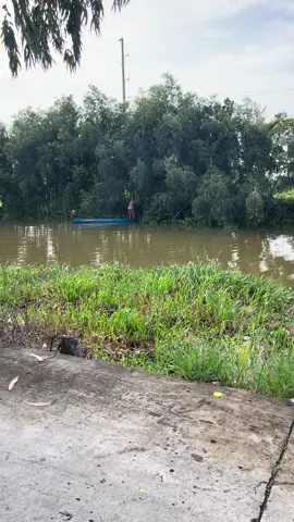 May Ae chích thấy lạnh chưa 🥶🤣#62longan❤️_chàomoinguoii😊 #aesongnuocmientay #xuhuong #xuhuongtiktok2024 